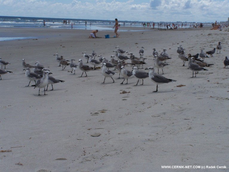 COCOA BEACH, FL. USA