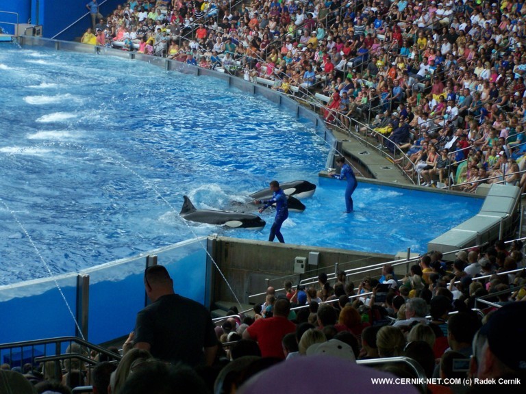 SeaWorld, FL. USA