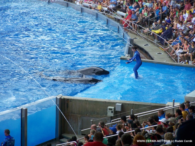 SeaWorld, FL. USA