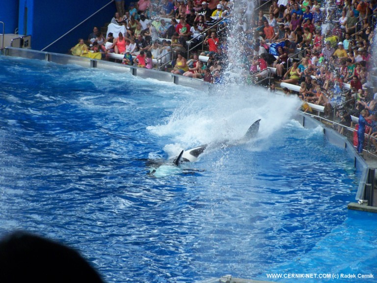 SeaWorld, FL. USA