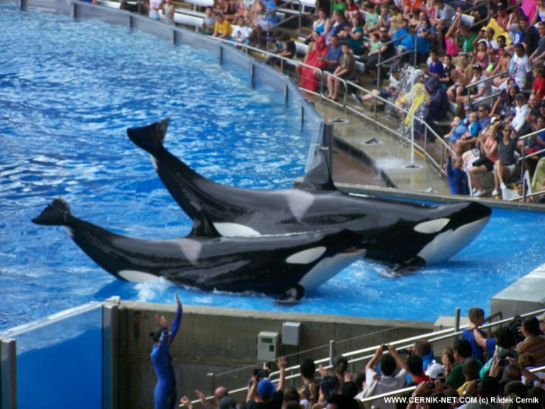 SeaWorld, FL. USA