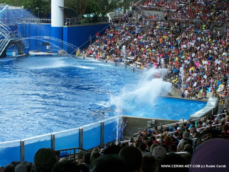 SeaWorld, FL. USA