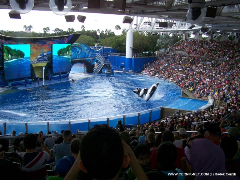 SeaWorld, FL. USA
