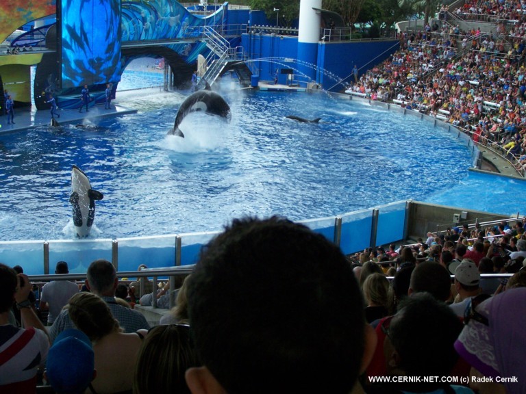 SeaWorld, FL. USA