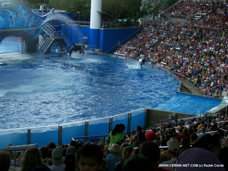 SeaWorld, FL. USA