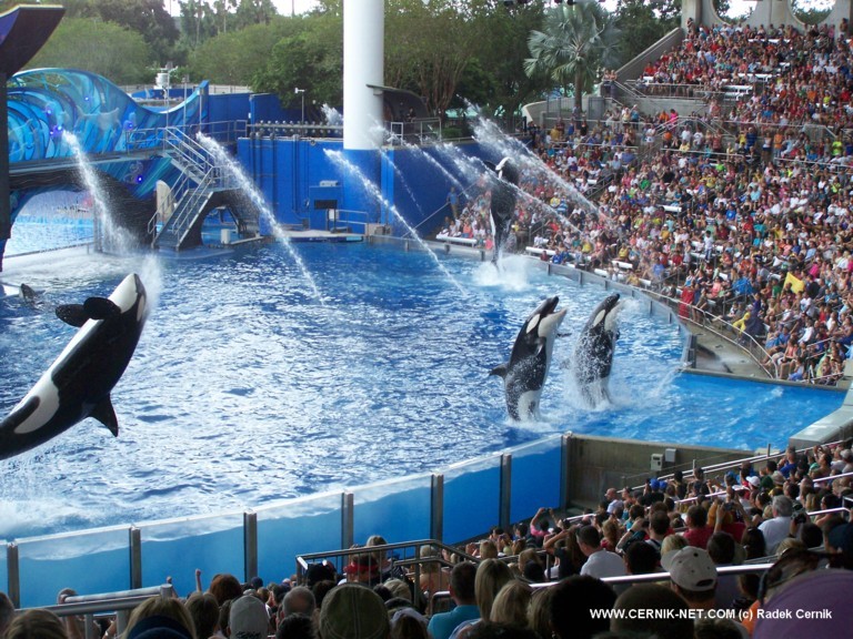 SeaWorld, FL. USA