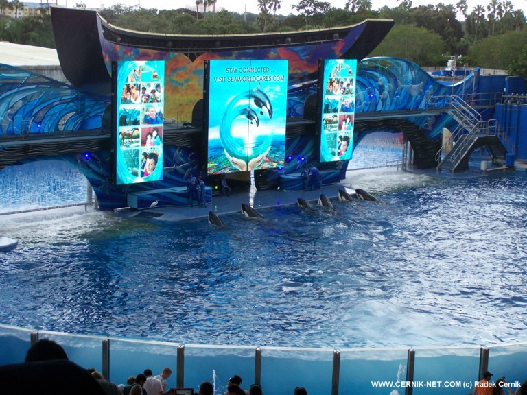 SeaWorld, FL. USA