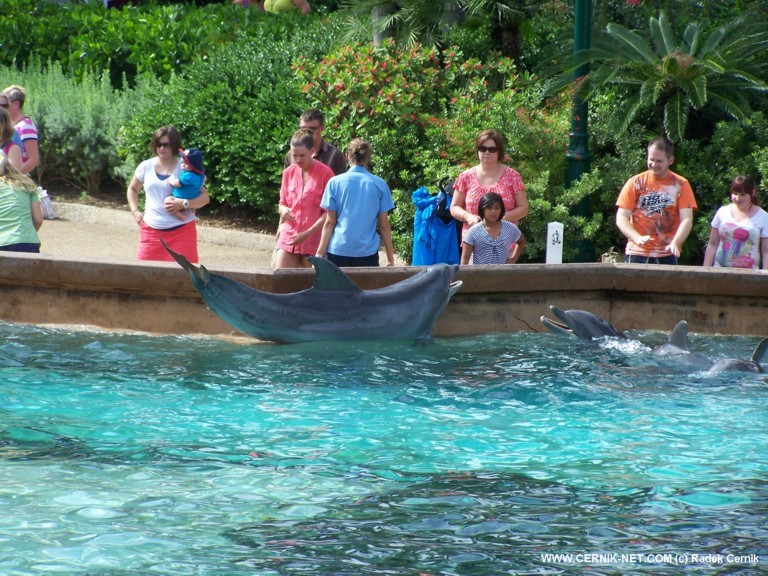 SeaWorld, FL. USA