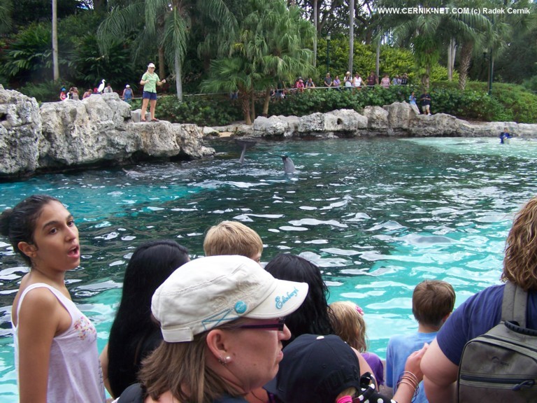 SeaWorld, FL. USA