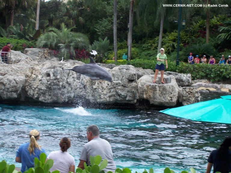 SeaWorld, FL. USA
